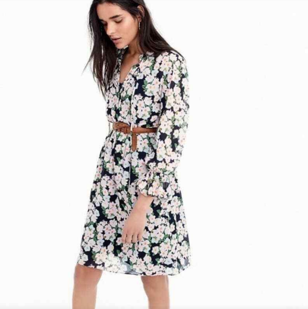 J. Crew Mercantile Pink Green Long Sleeved Floral Flounced Hem Chiffon Dress